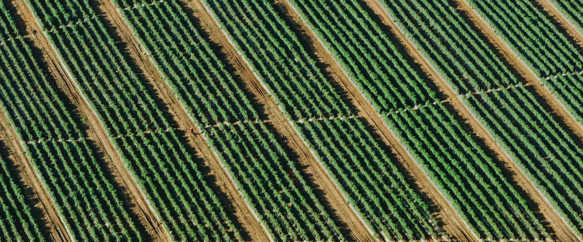 farm2-subheader